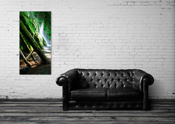 Spirit of the Forest